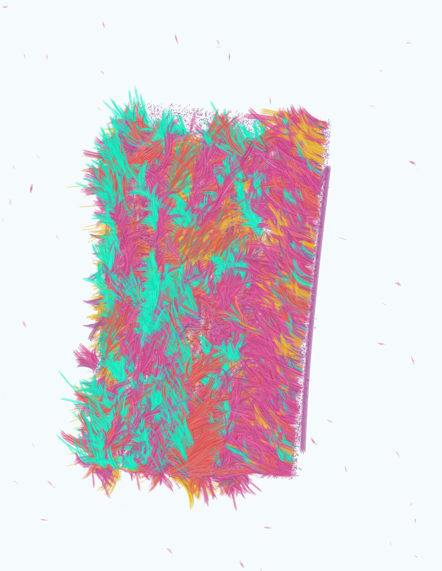 disorientation #206