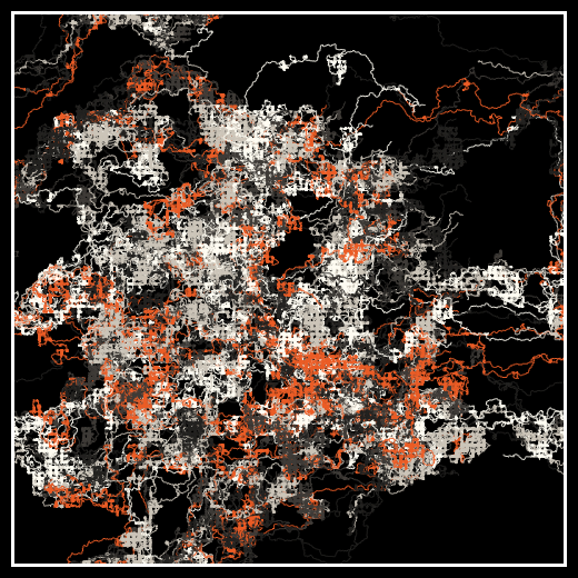 Between the eyes and the brain #31