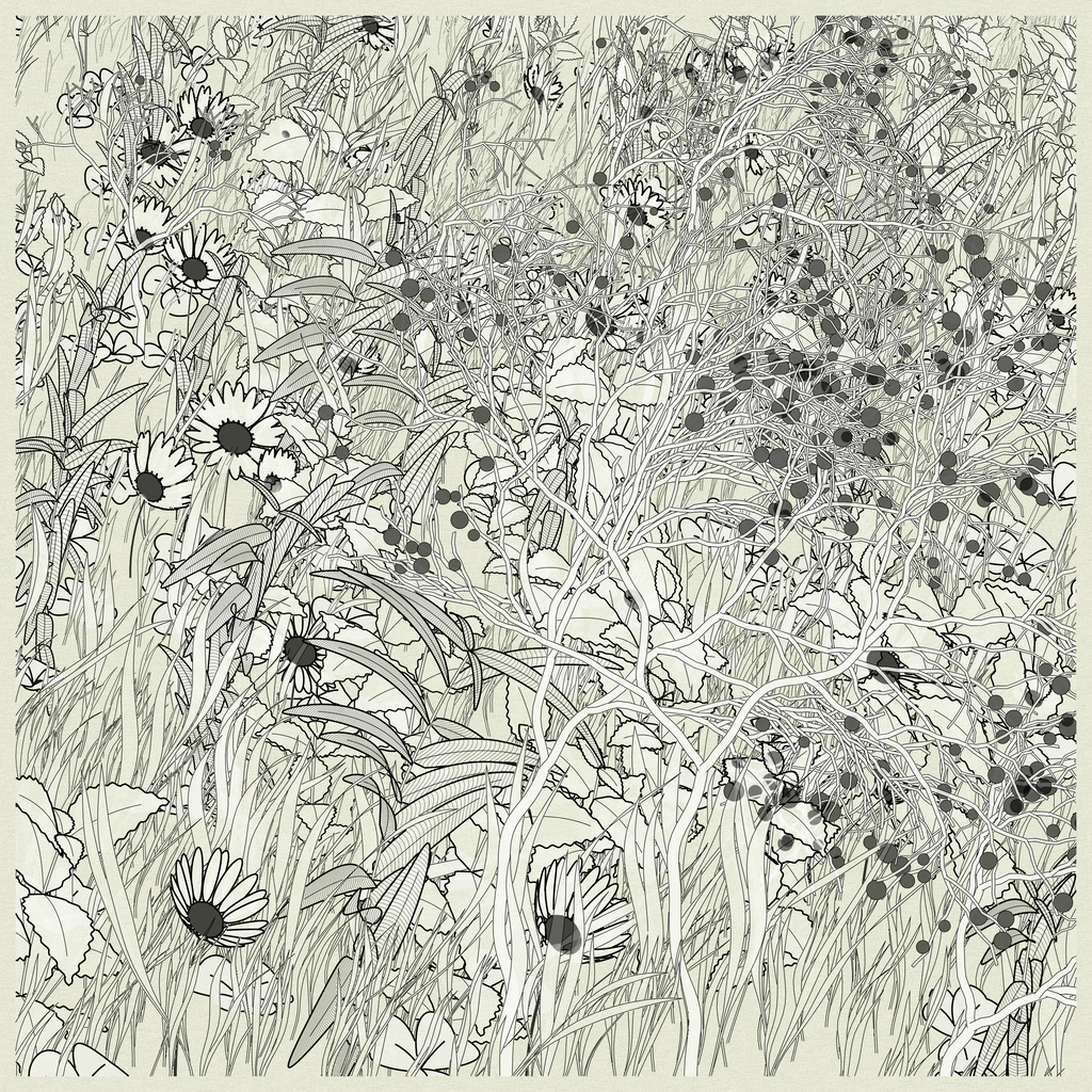 Garden, Monoliths #227