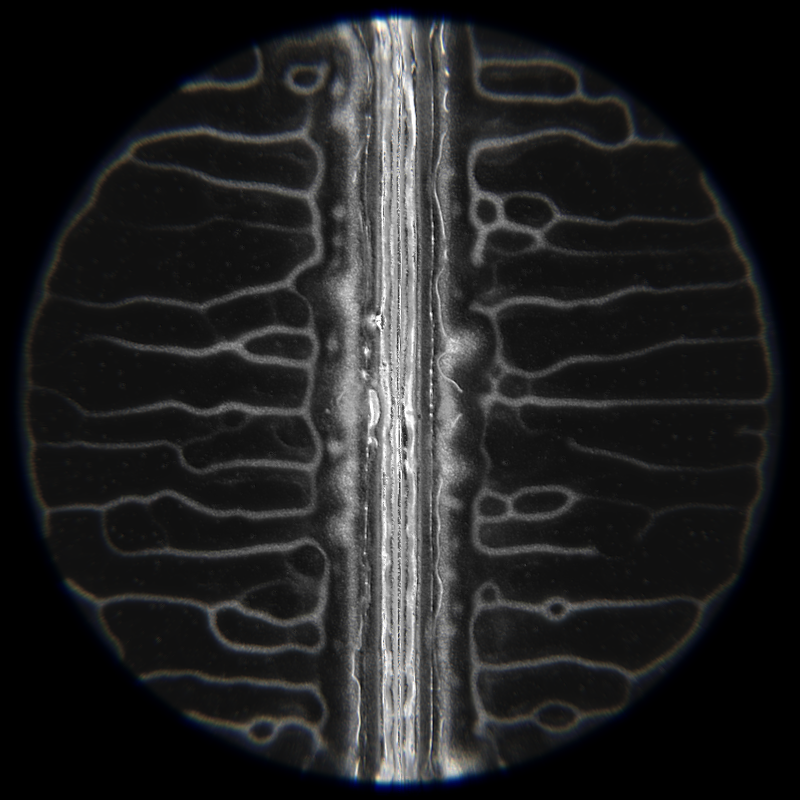 Ethereal Microcosm #177