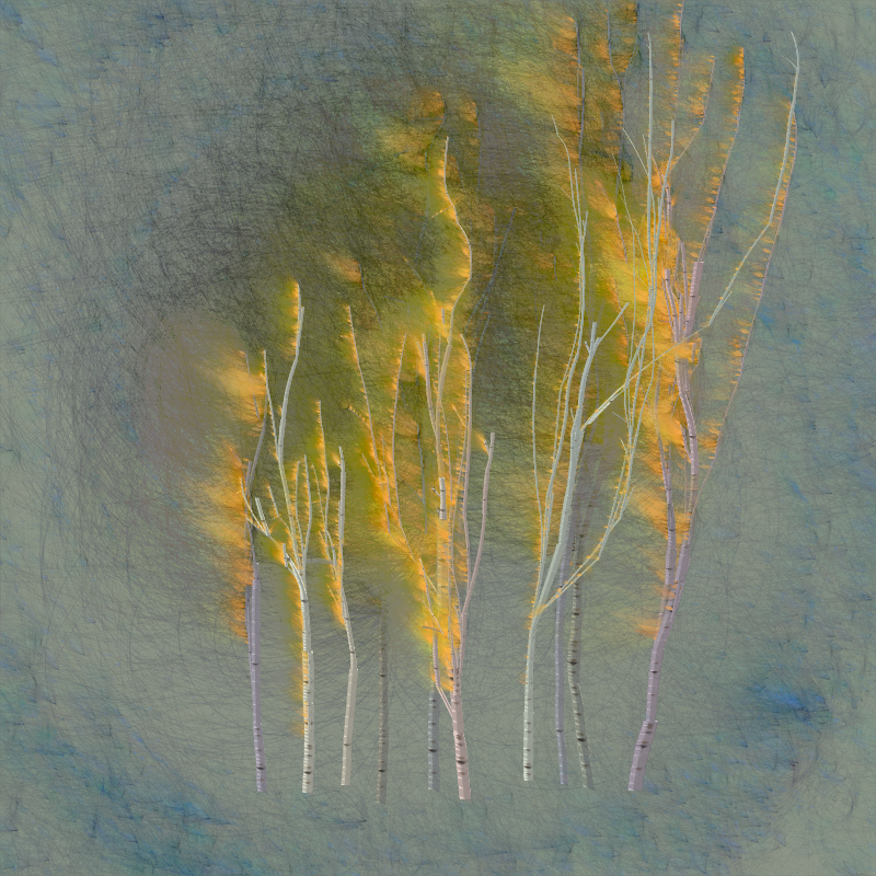 Grove #15