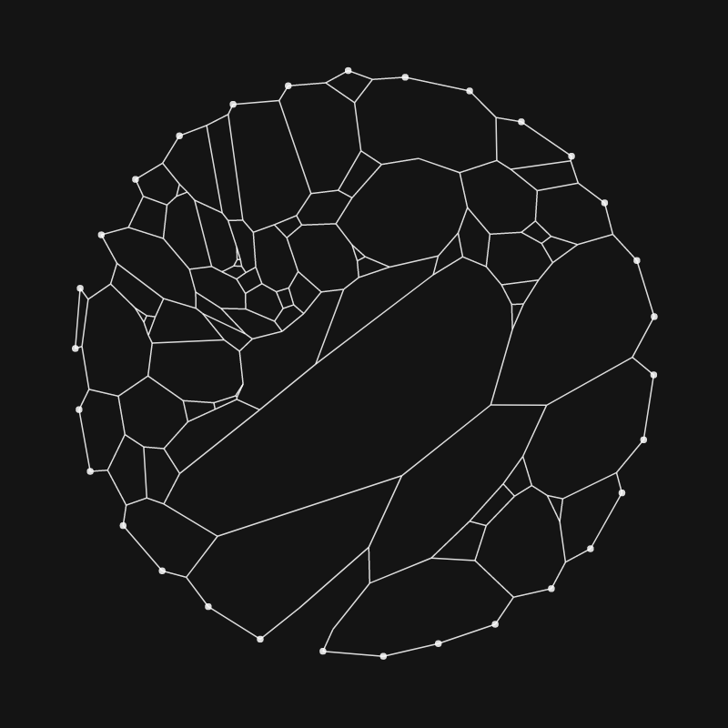 Elastic Web #204