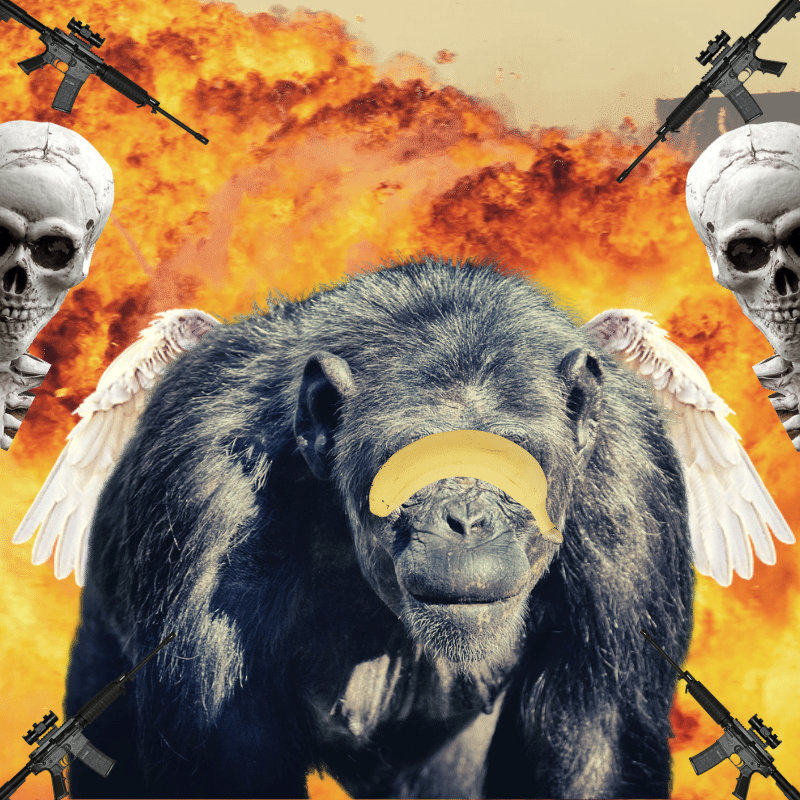 Blinded apes #49