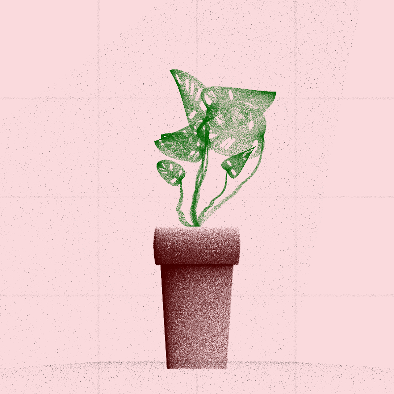 🌱 Potted & Printed #242