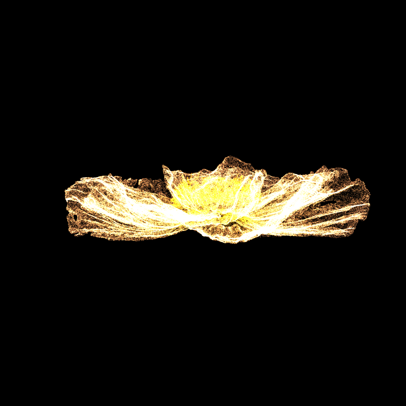White Poppy 30 #234