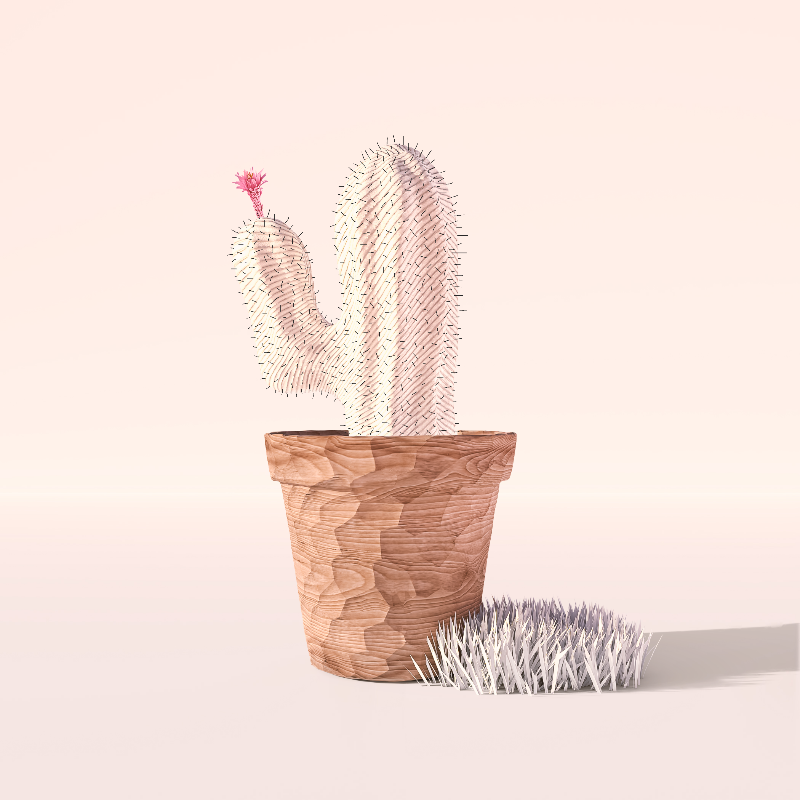 3D Crypto Cacti #58