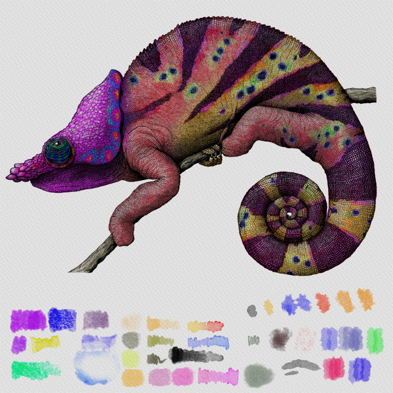 Colorful Cameleon #22