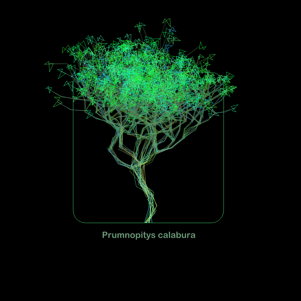 Fluidynamix - Trees #76