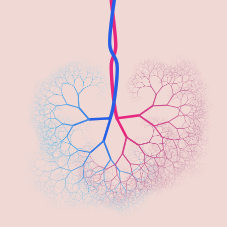 capillary trees #13