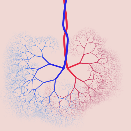 capillary trees #27