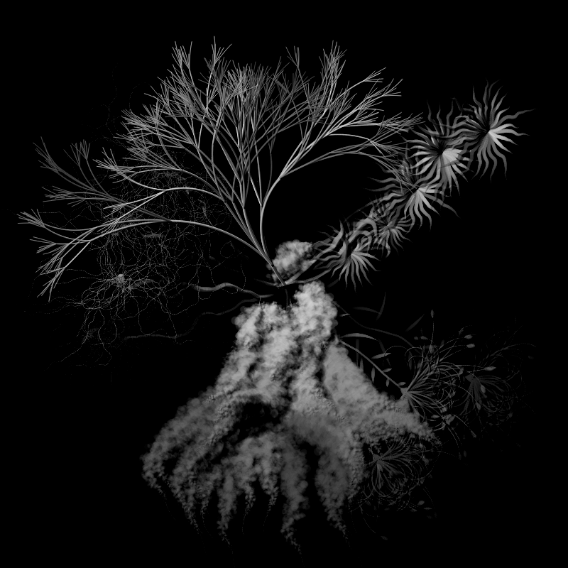 Botanical Ghosts #334