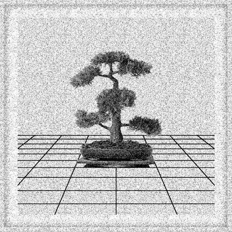 Bonsai Bonanza #428