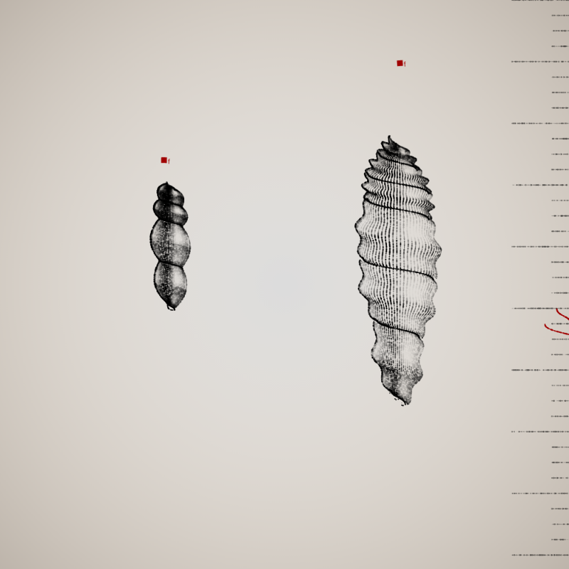 Two Specimen #176