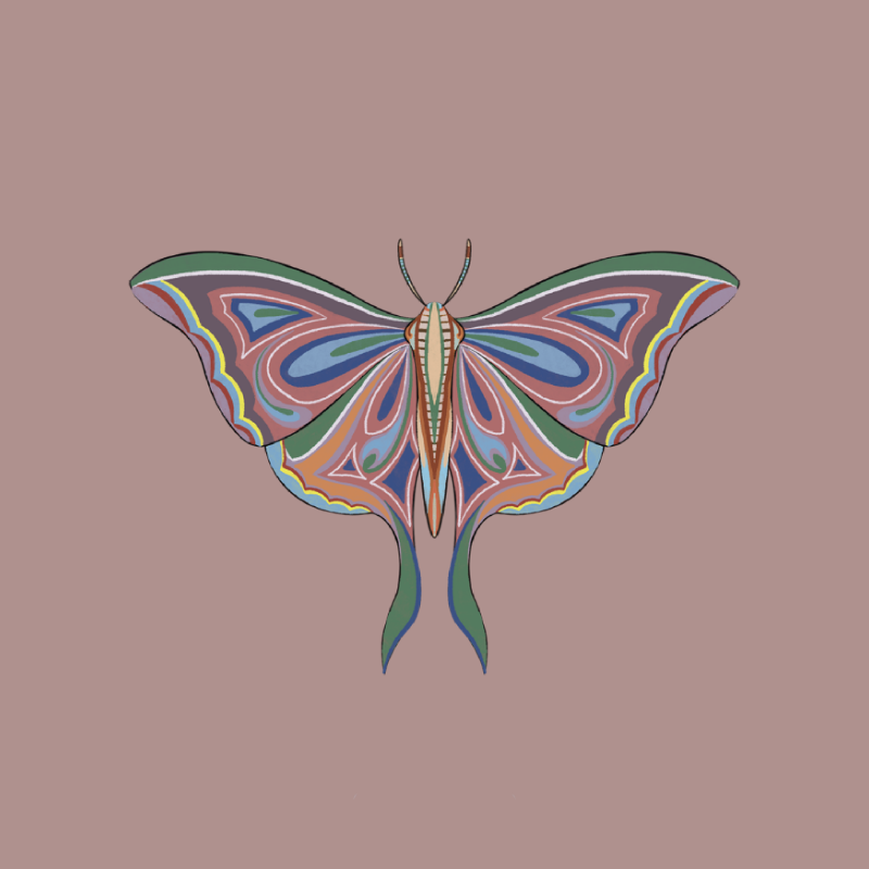 The Moth Experiment 2.0 P2 #4