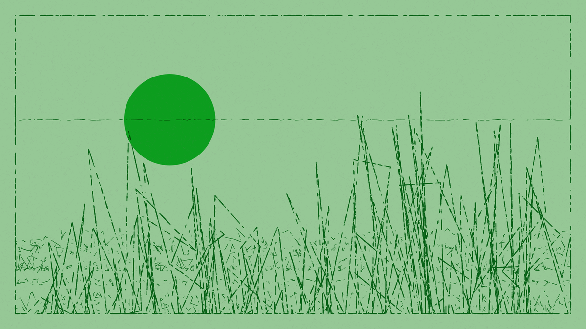 scratches & circles: landscape edition #60