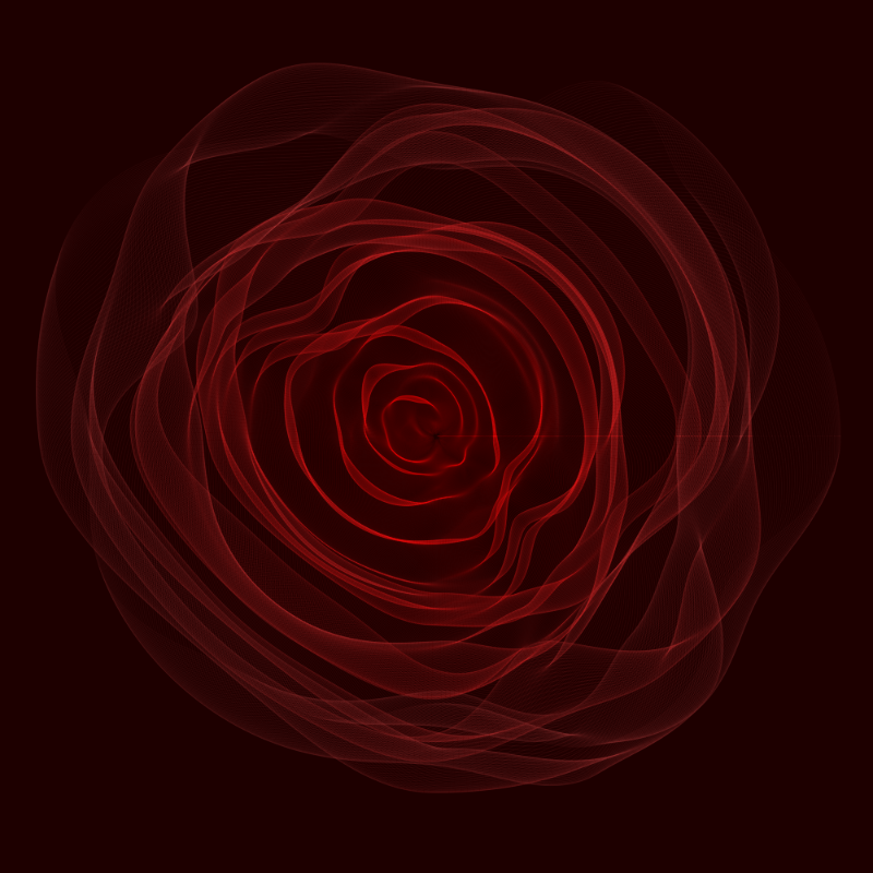 Roses #13