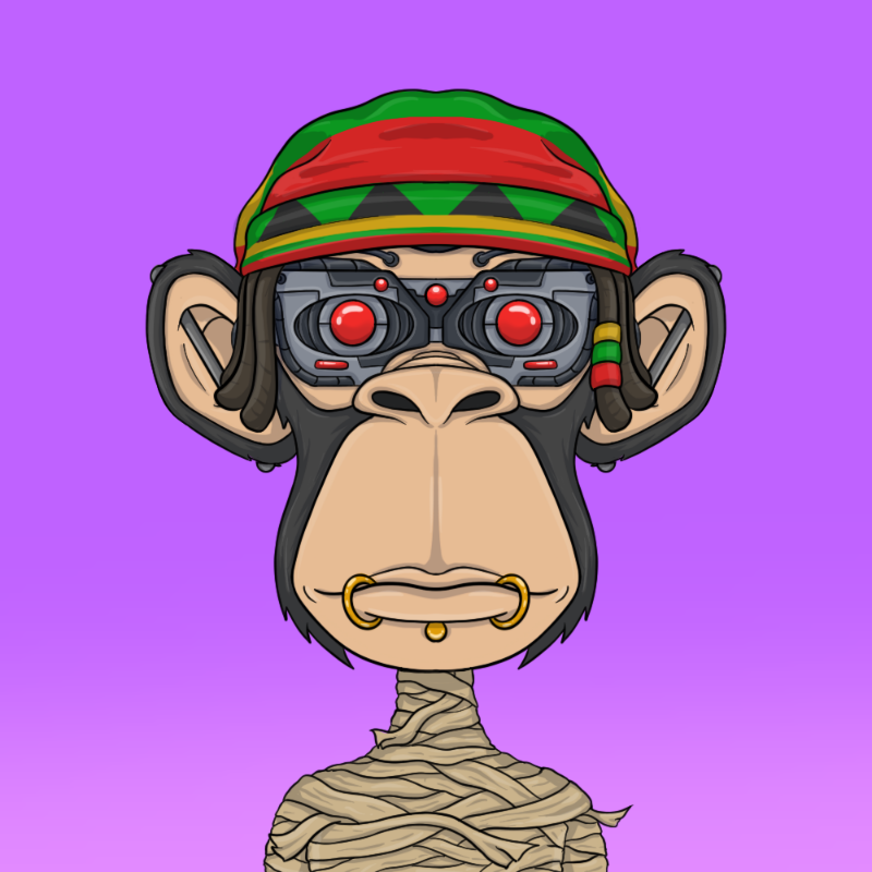 chimpantez #12