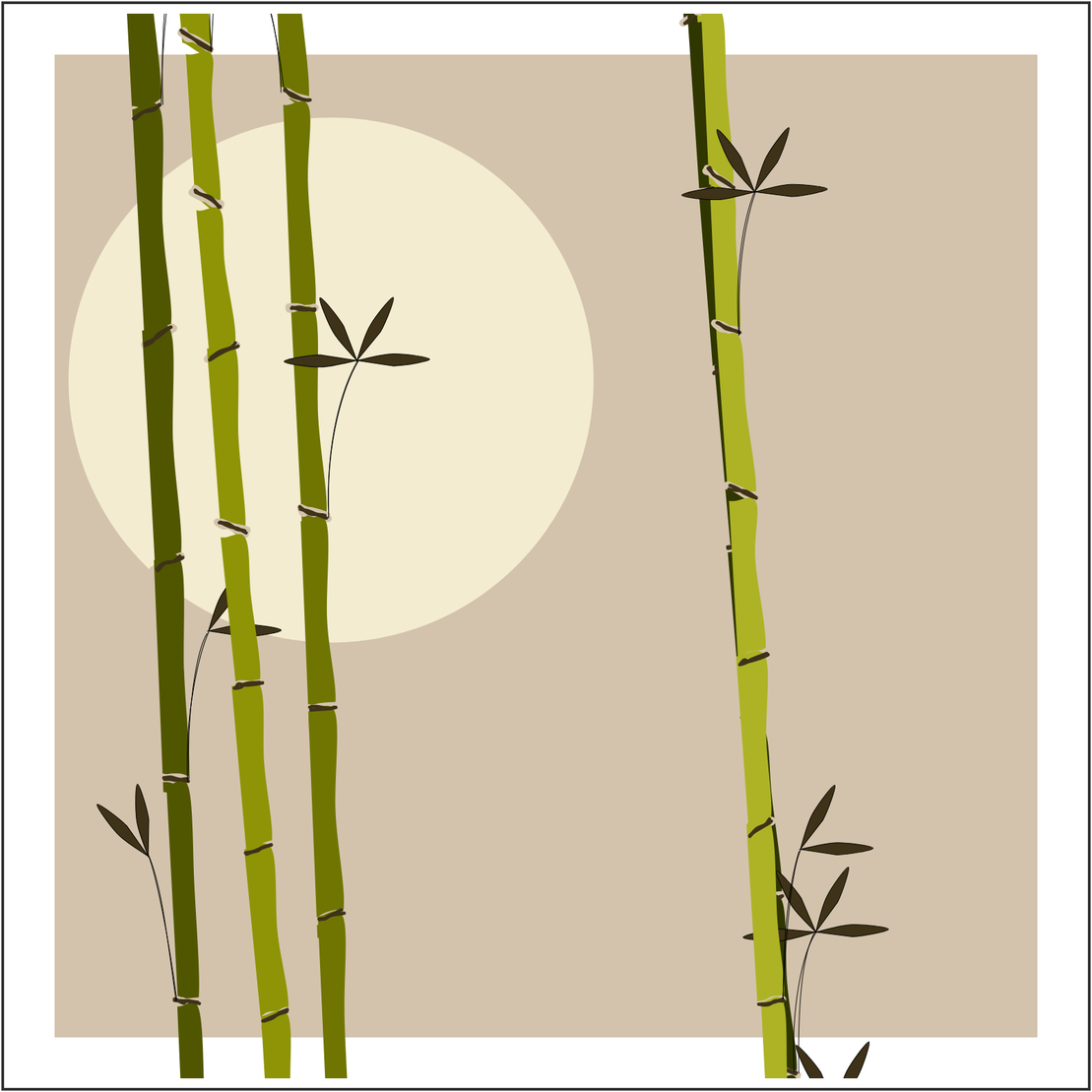 Bamboo and Beyond #42