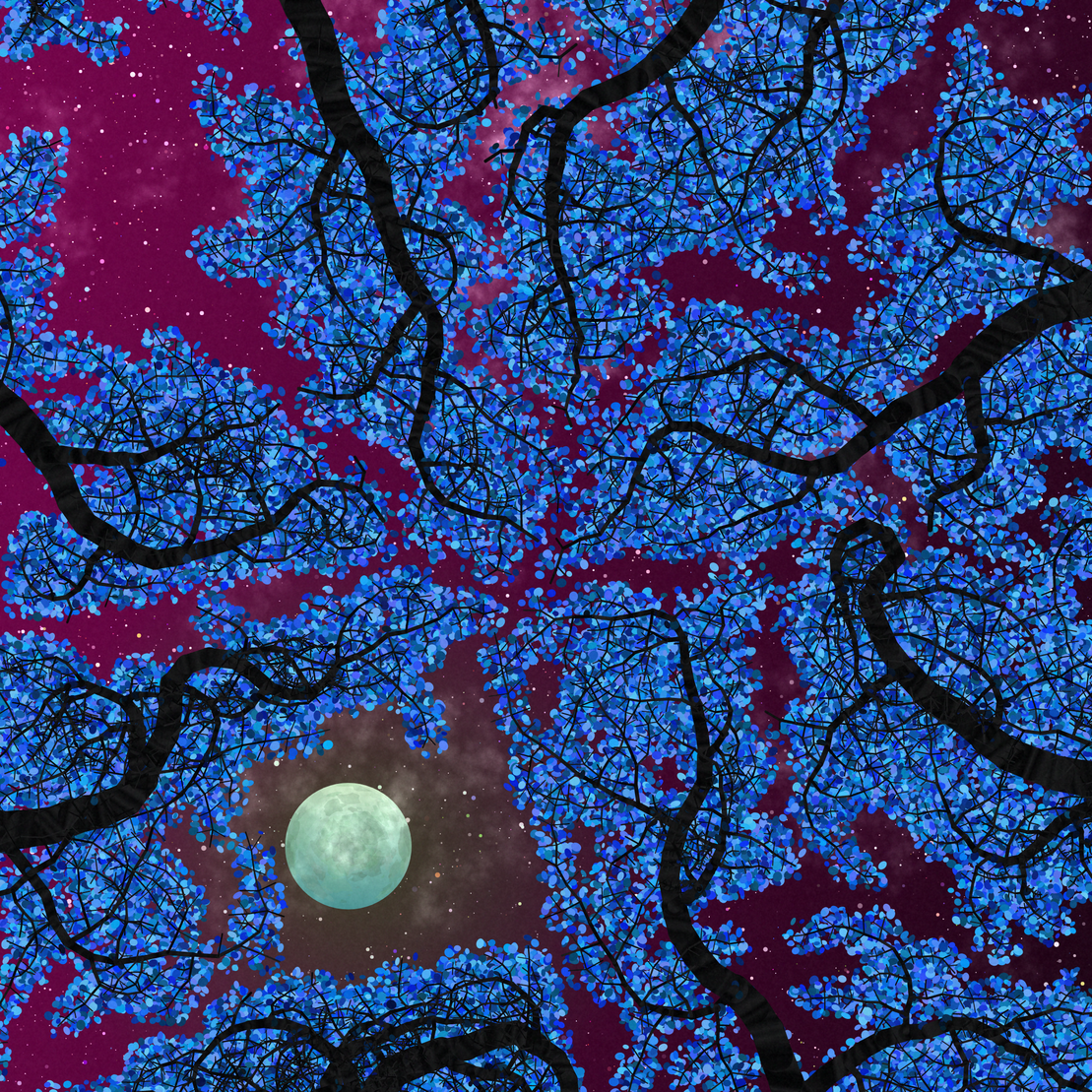 Tree Skyness #187