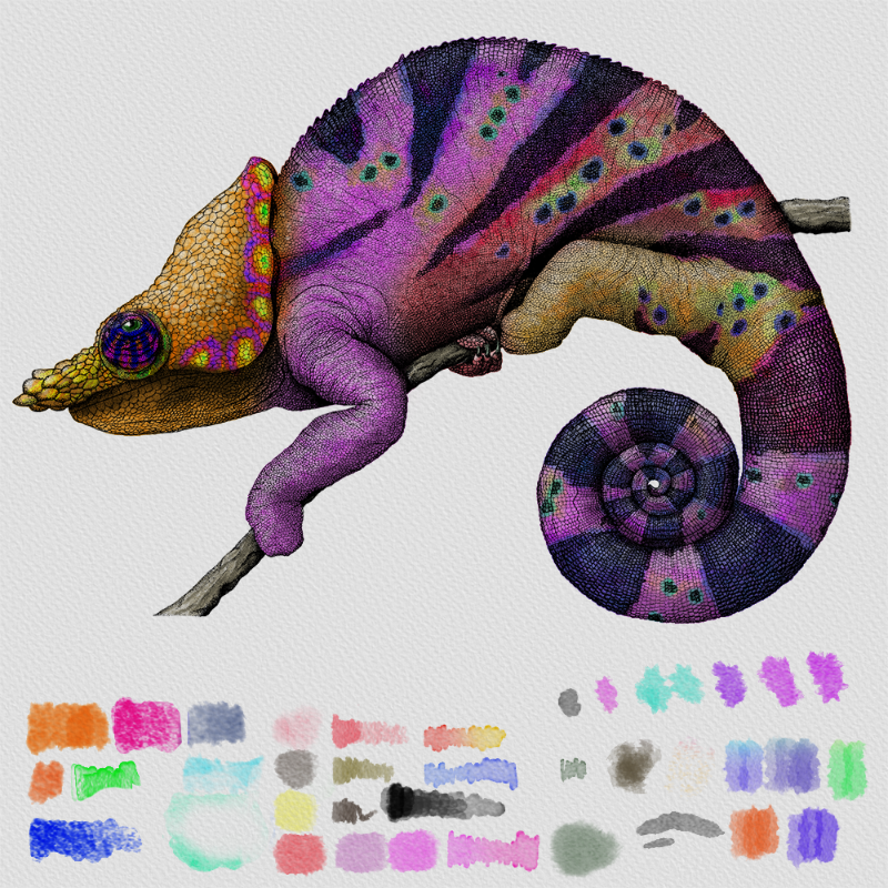 Colorful Cameleon #1