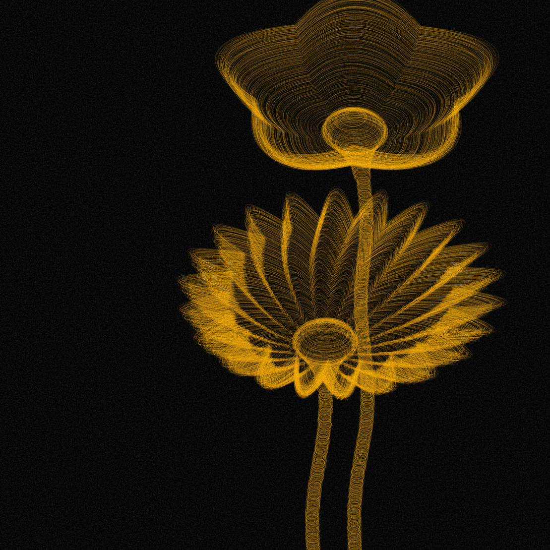 Code Flowers #52