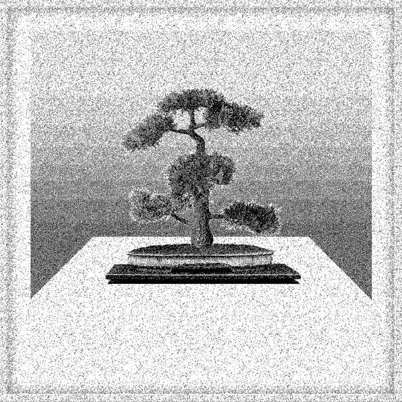 Bonsai Bonanza #4