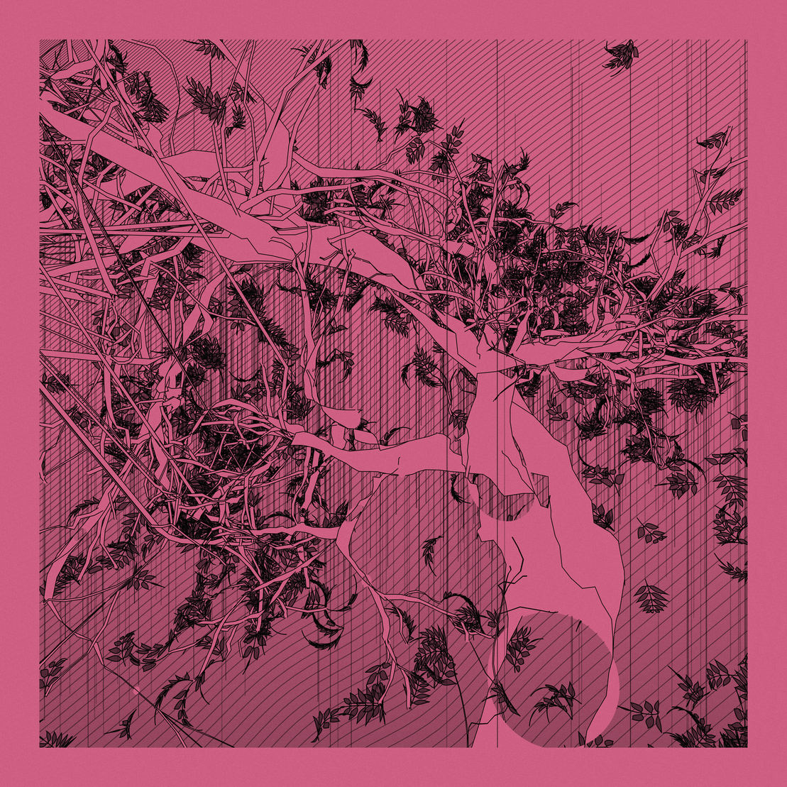 A Bugged Forest #882