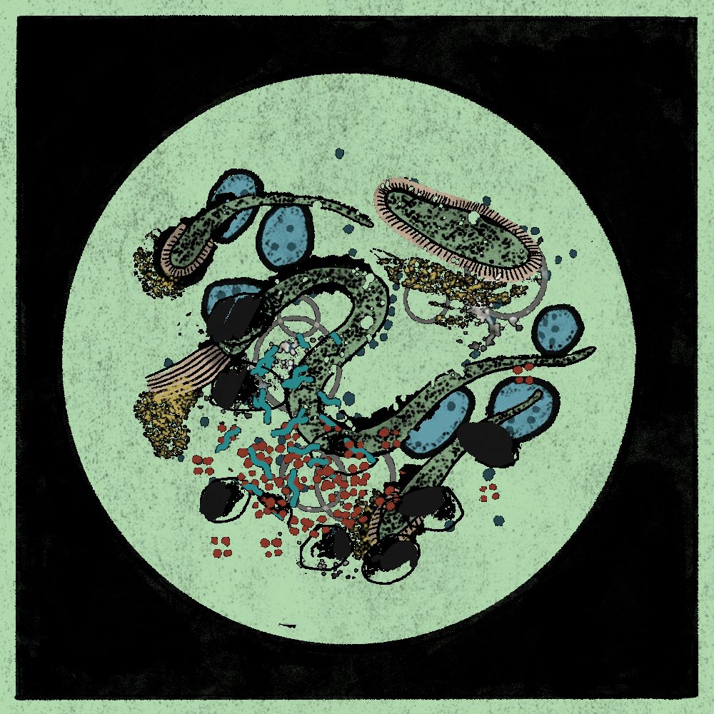 Microbes #90