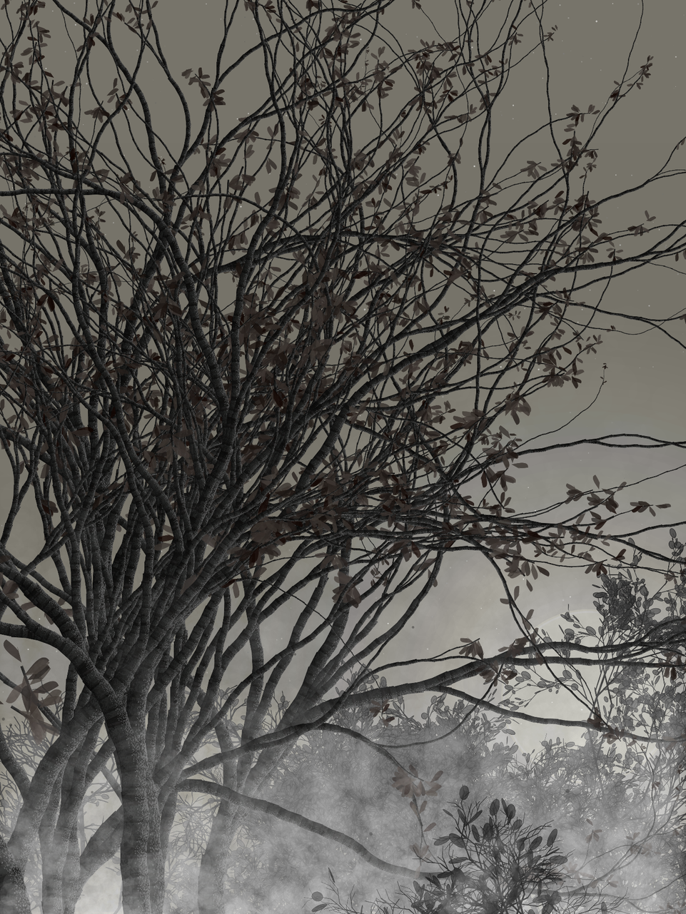Morning Mist #90
