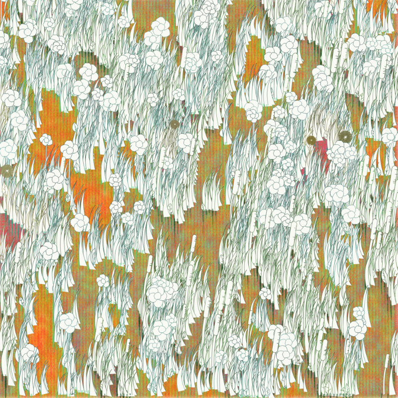 Petri 1500 #1290