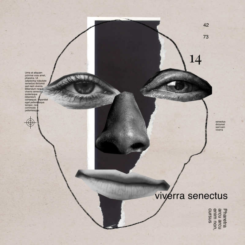 Collage faces #75