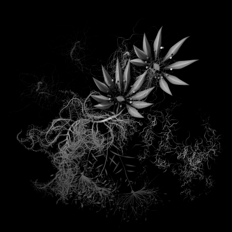 Botanical Ghosts #184