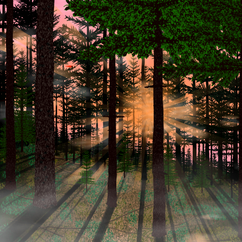 Forest Sunrise