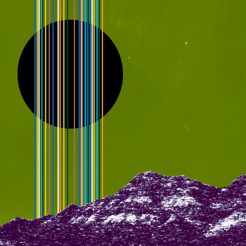 collage #1  from nature #58