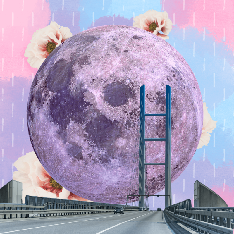 Pink Moon #14