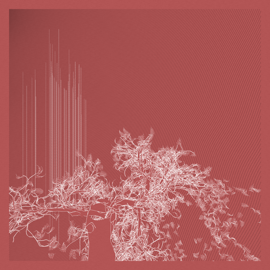 A Bugged Forest #988