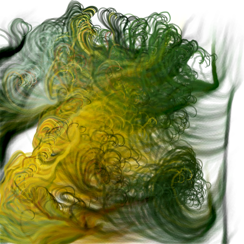 Hypericum #146