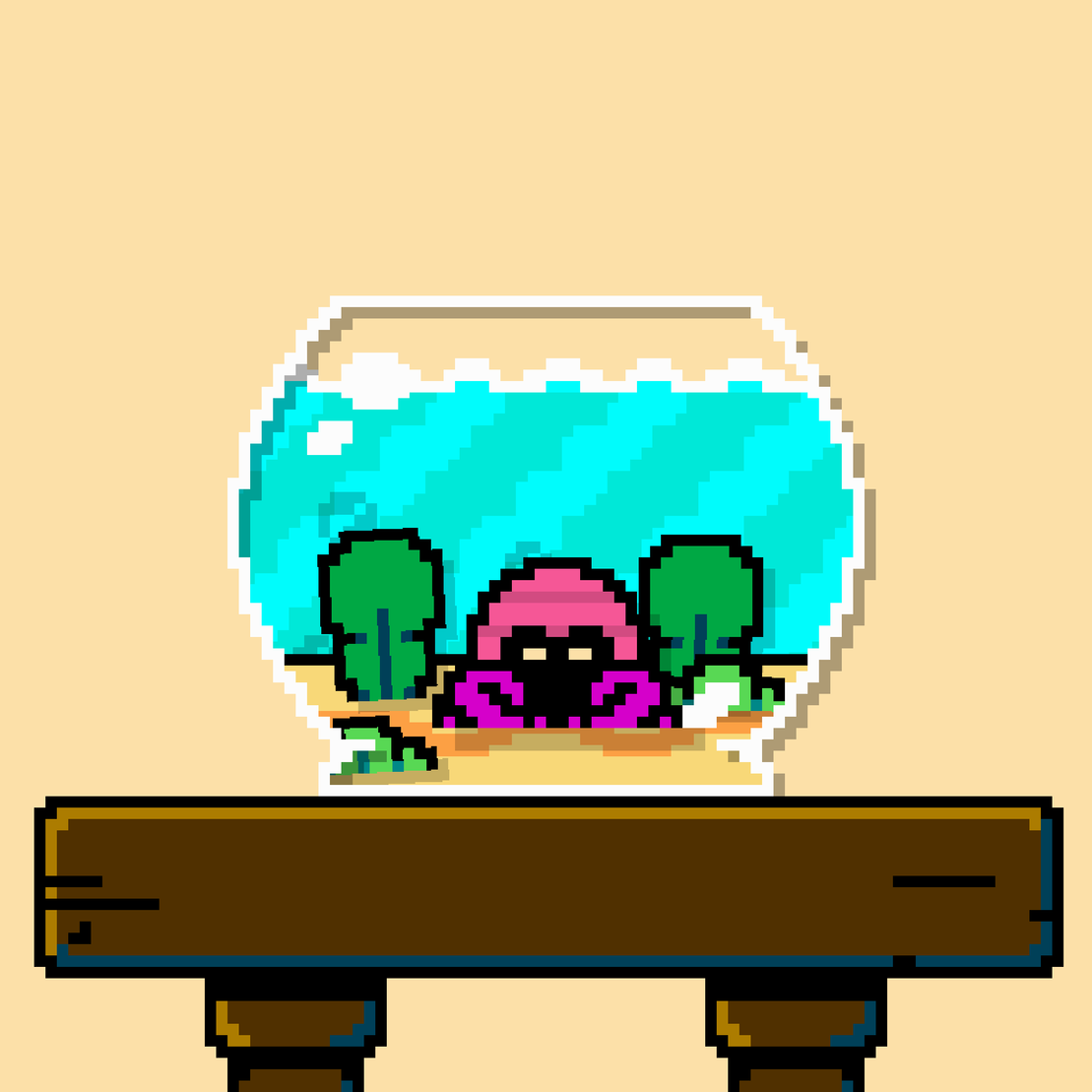 hermit crab #126