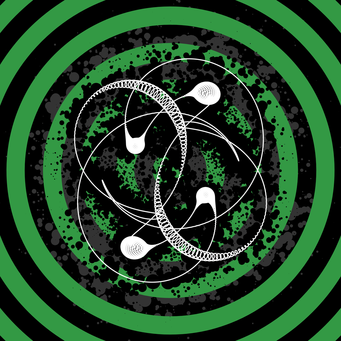 EPIHYPERDERPFLARDIOIDS #162