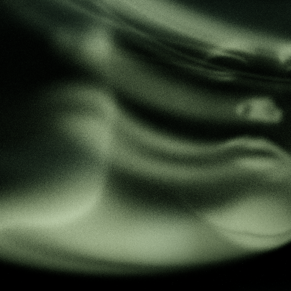 Emotional Shell #370