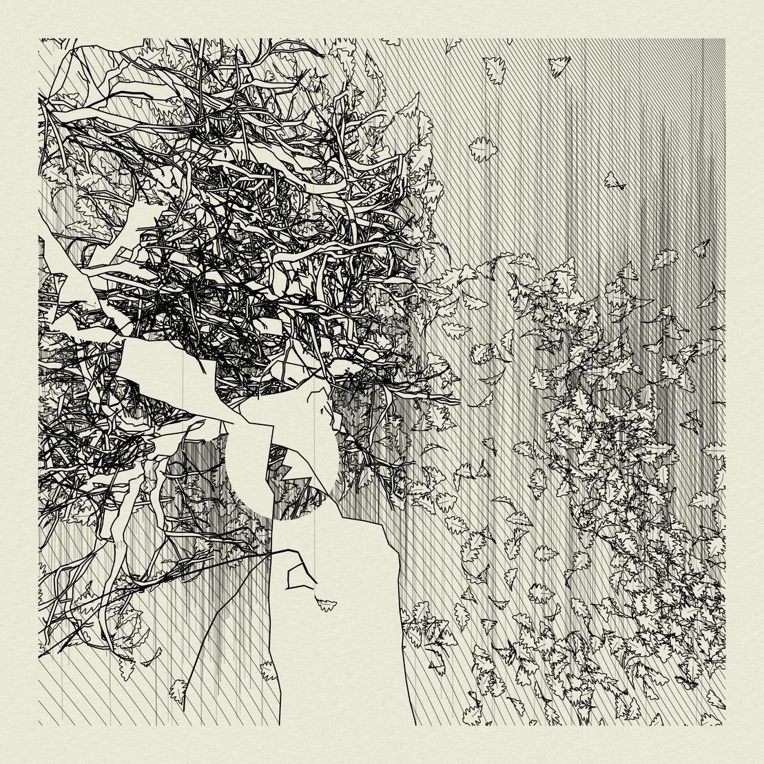 A Bugged Forest #596