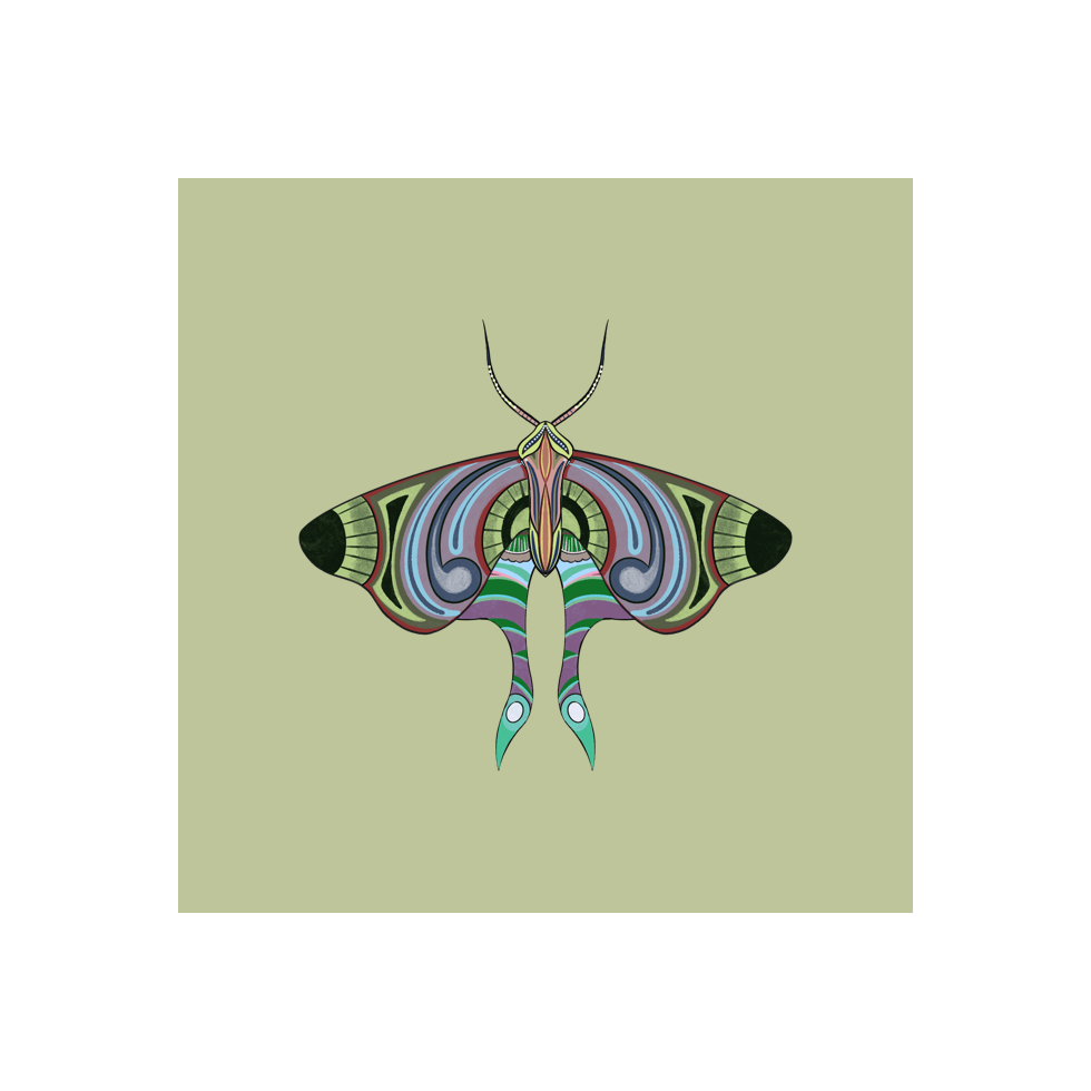 The Moth Experiment #32