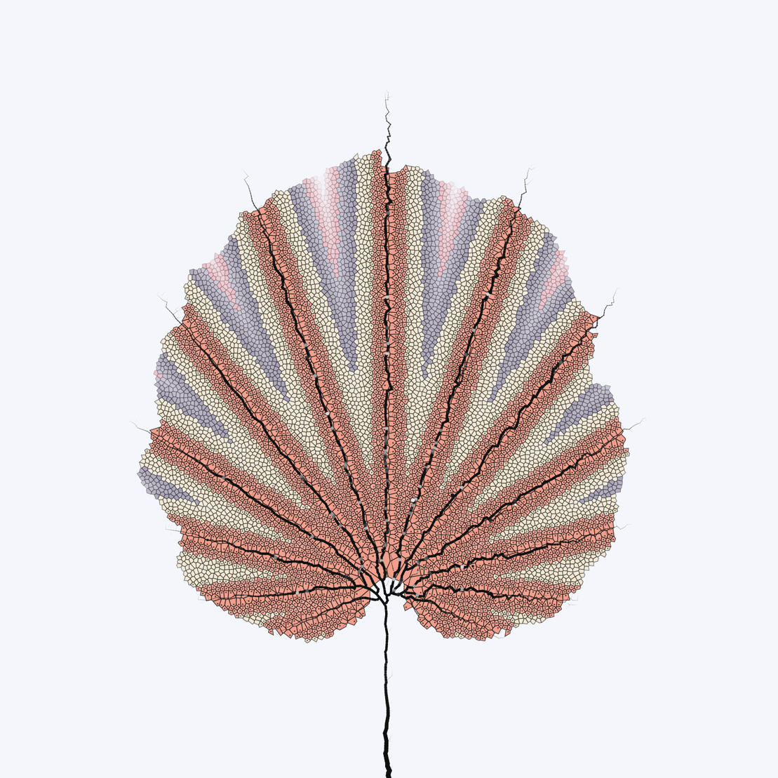 Leaf study #21