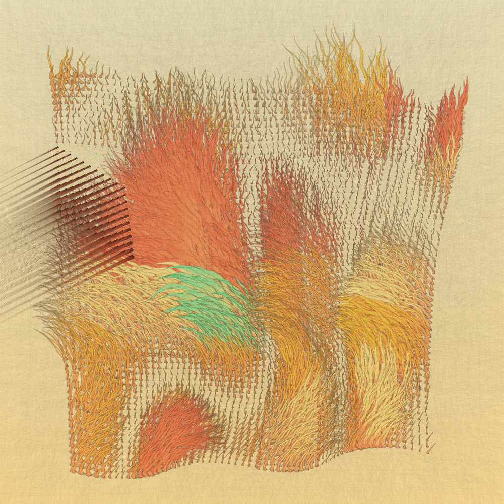 FERAL #10