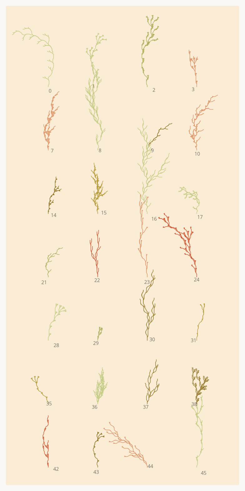 Seaweed Study #2