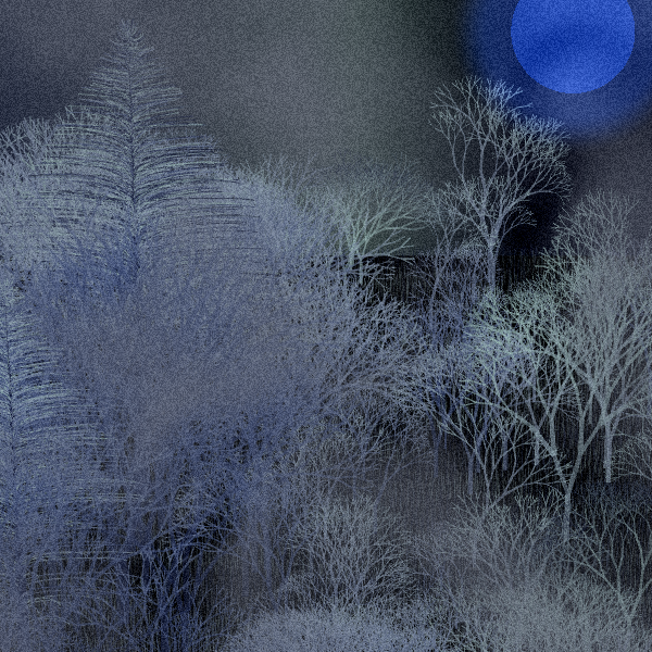 Moonlit Native Bush #37