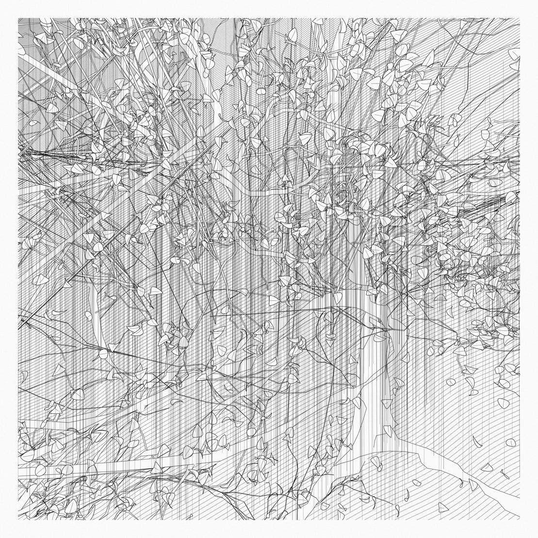 A Bugged Forest #507