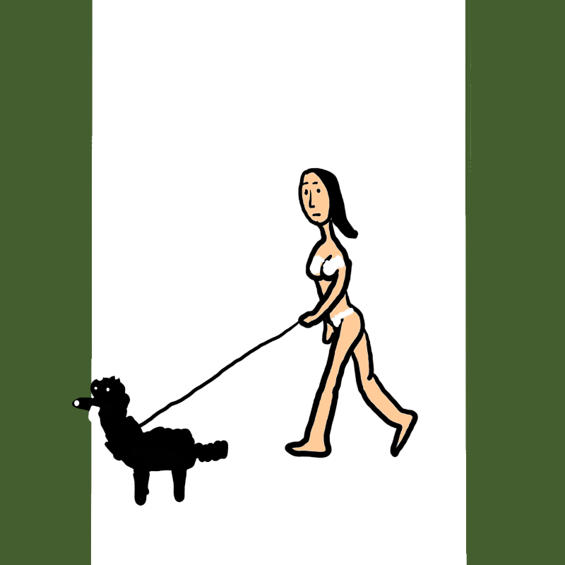 wALKING A DOG #30