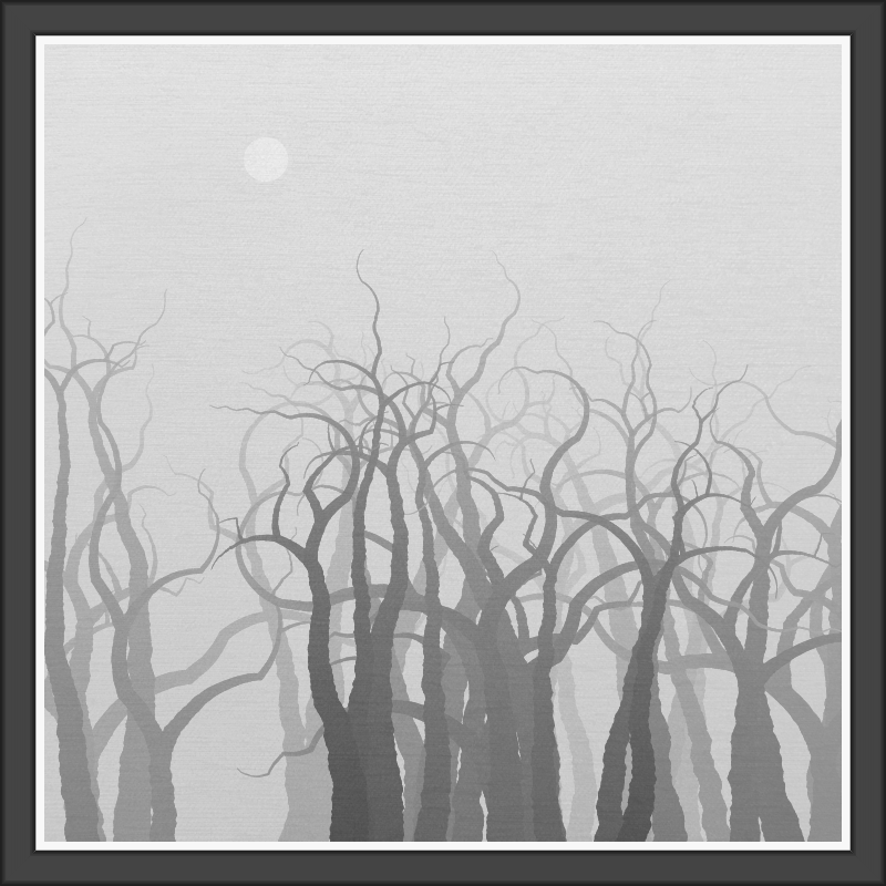 The Foggy Trees #53