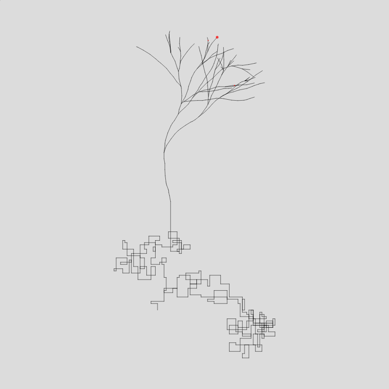 Algorithmic Tree #9